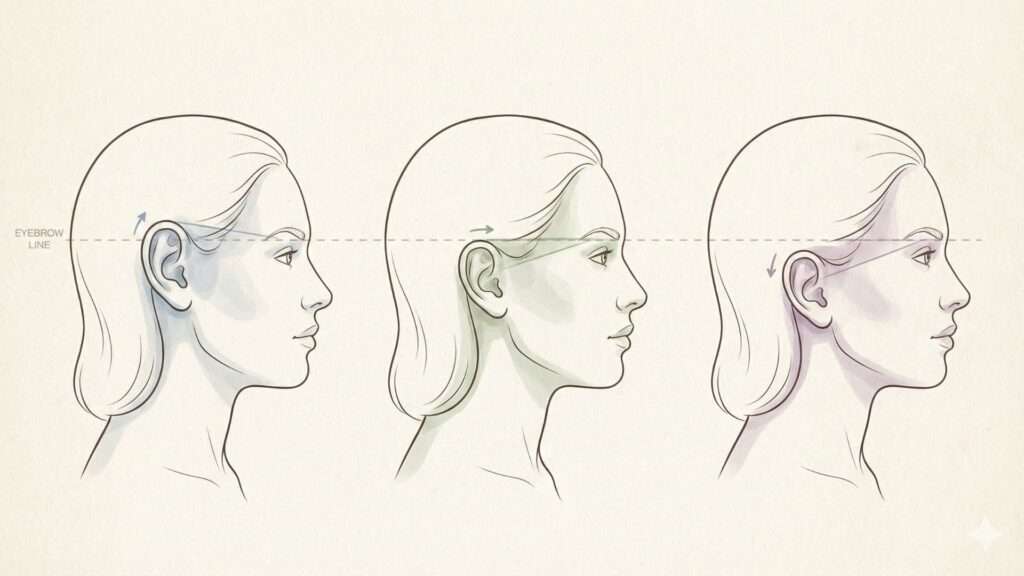 Representação da posição das orelhas no visagismo auricular